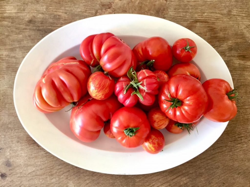 Tomaten, Tomaten, Tomaten › Martina Goernemanns RAUMseele-Blog ...